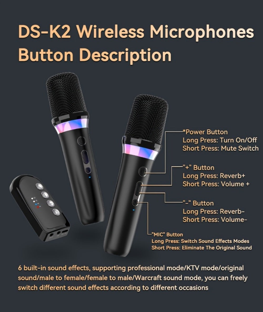 Portable Karaoke System, Stereo, RGB, Wireless, VAORLO, DS-K2, Machine for Parties detail image - detail view 25