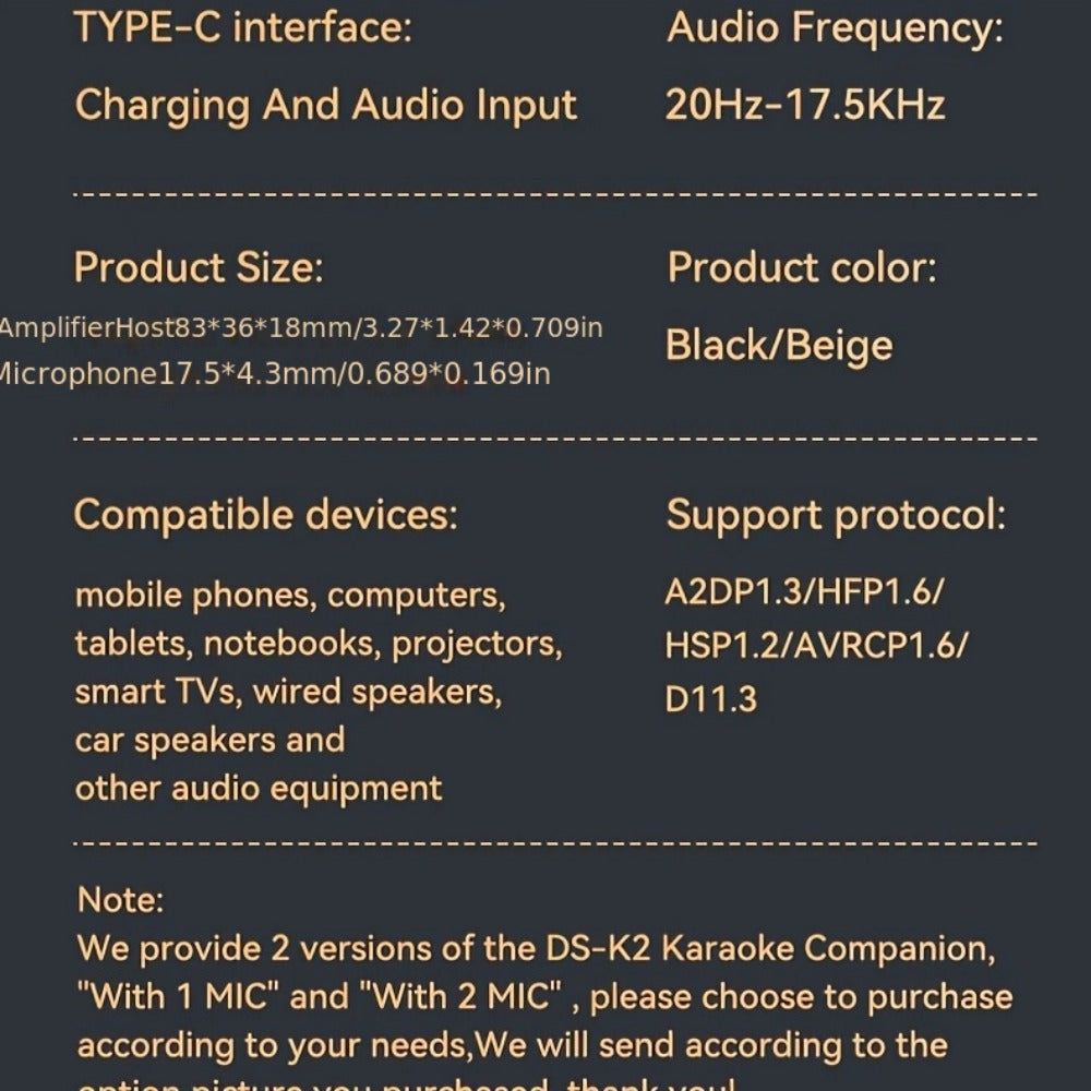 Portable Karaoke System, Stereo, RGB, Wireless, VAORLO, DS-K2, Machine for Parties detail image - detail view 27