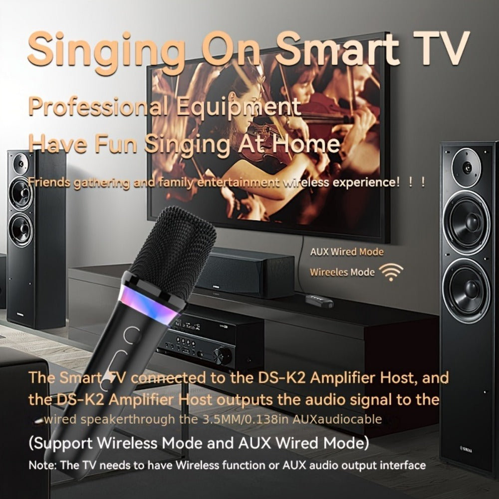 Portable Karaoke System, Stereo, RGB, Wireless, VAORLO, DS-K2, Machine for Parties detail image - detail view 8