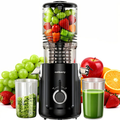 Masticating Juicer Cold Press - 4.25" Wide Feed Chute Auto-Feed Slow Juicer for Whole Fruits & Vegetables, 98% Juice Extraction, Quiet Motor, Easy to Clean, Compact for 1-2 People, Multiple Colors